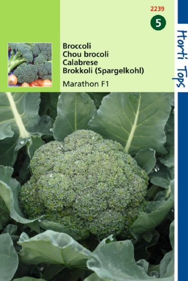 Broccoli Marathon F1 (Brassica) 75 Samen